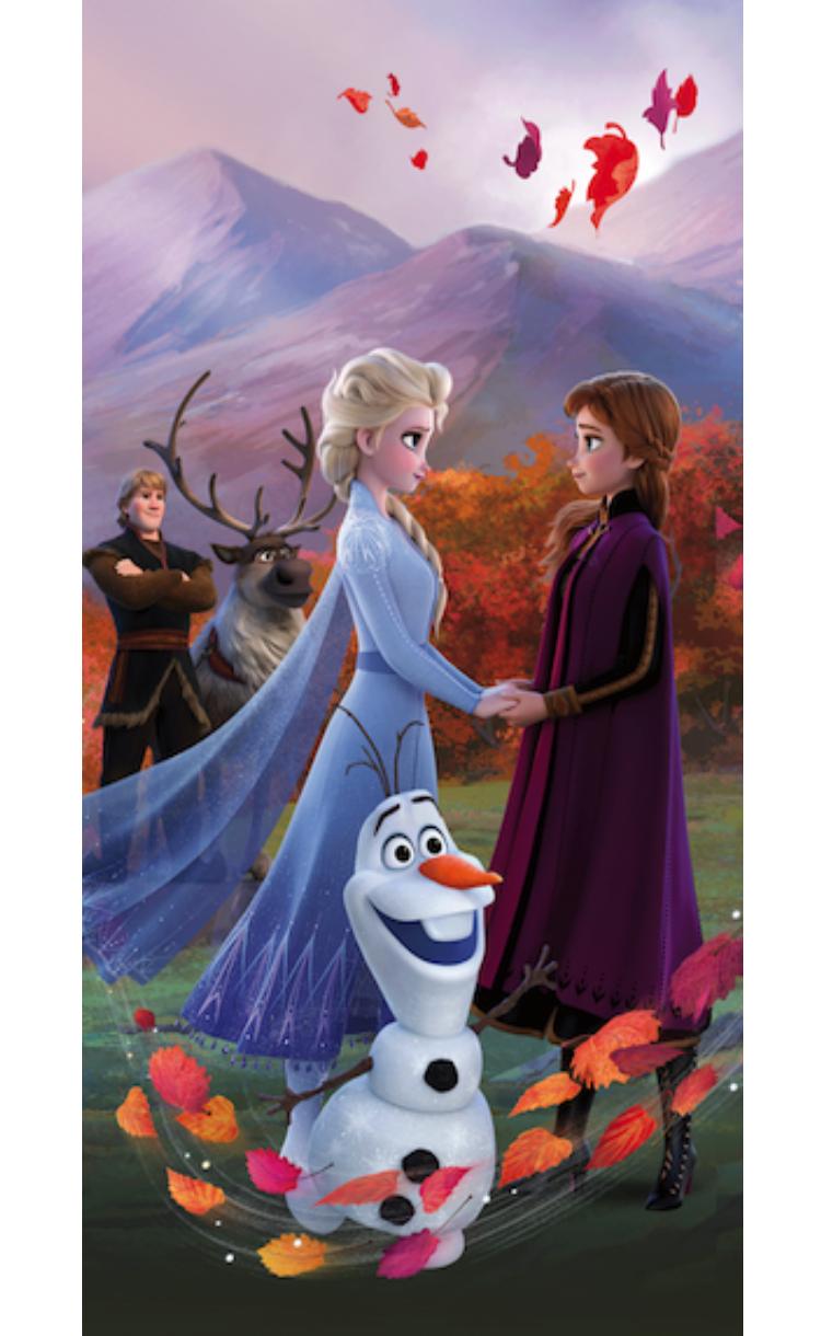 Froté osuška Ľadové kráľovstvo - Frozen 10 70x140